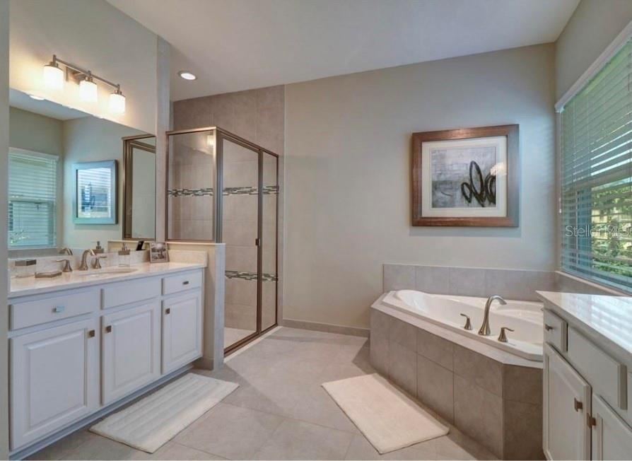 30582 IVY FORGE COURT, Wesley Chapel, FL 33543