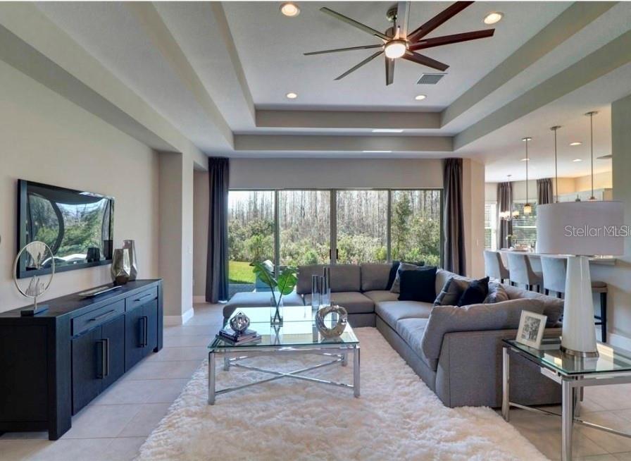 30582 IVY FORGE COURT, Wesley Chapel, FL 33543 30582 IVY FORGE COURT, Wesley Chapel, FL 33543