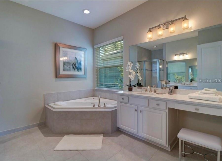 30582 IVY FORGE COURT, Wesley Chapel, FL 33543