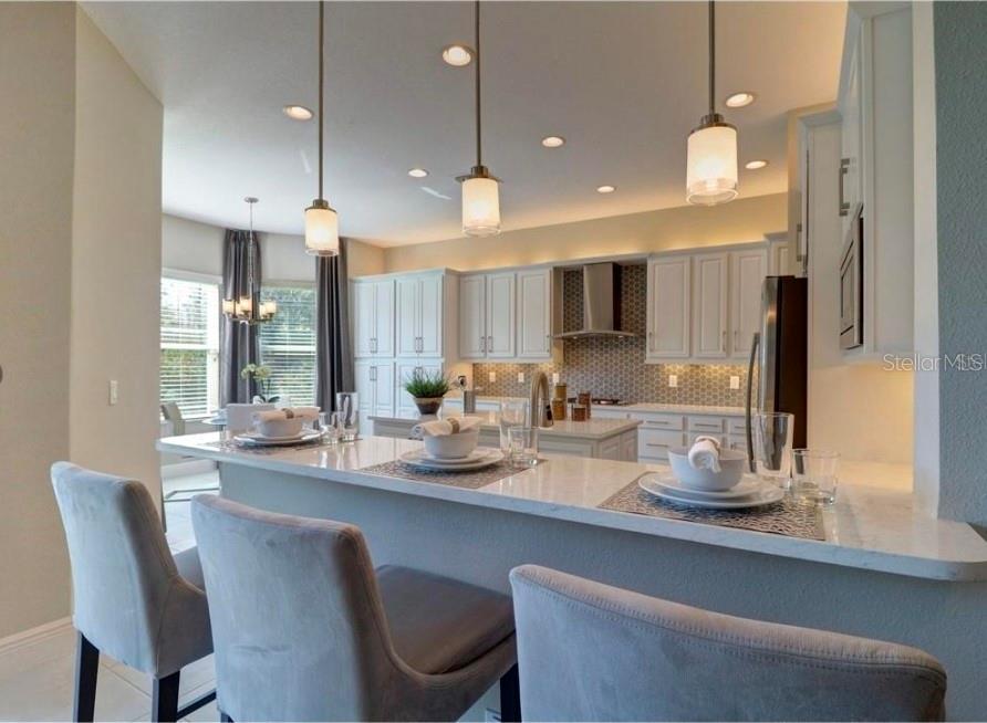 30582 IVY FORGE COURT, Wesley Chapel, FL 33543