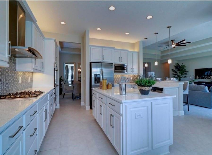 30582 IVY FORGE COURT, Wesley Chapel, FL 33543