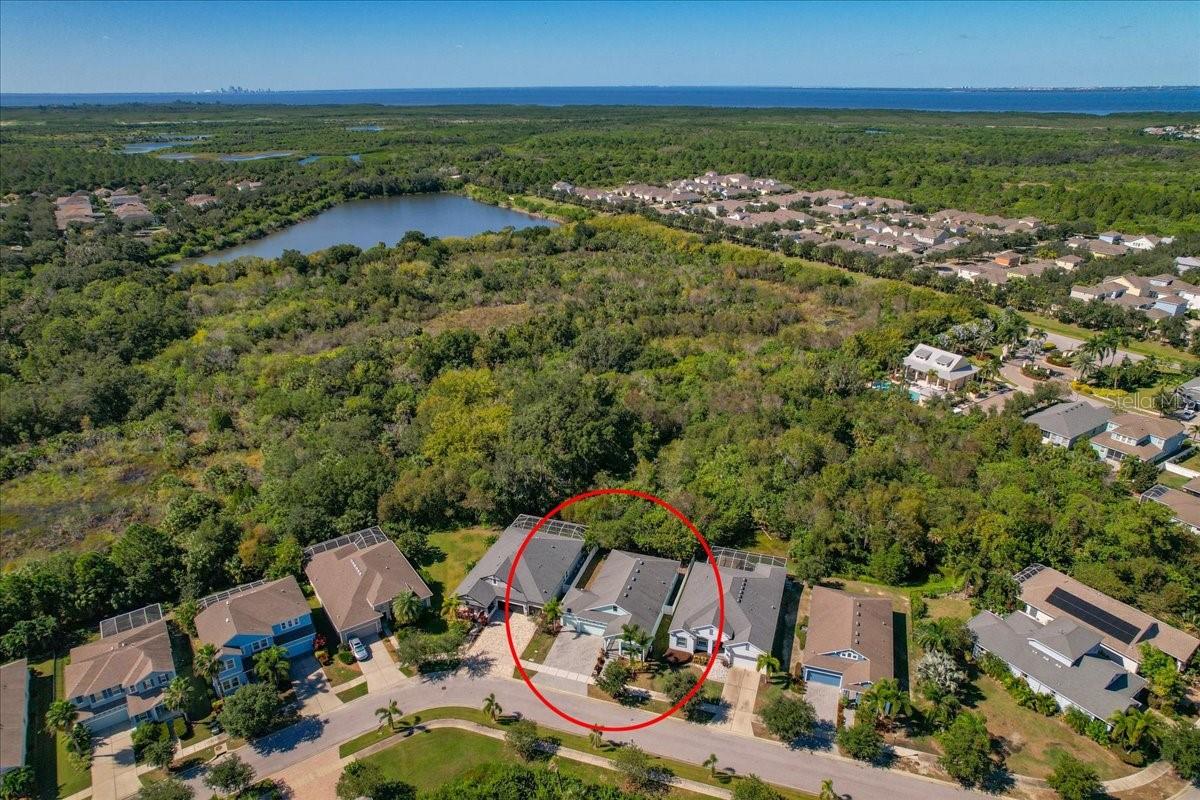 5118 COASTAL SCENE DRIVE, Apollo Beach, FL 33572