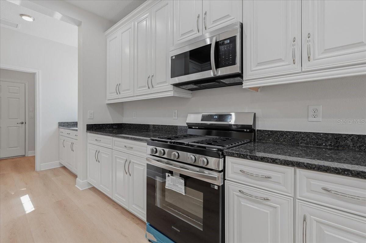 5118 COASTAL SCENE DRIVE, Apollo Beach, FL 33572