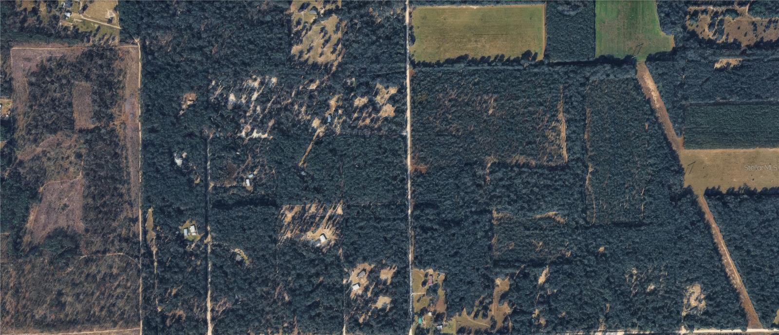 NE 80 AVENUE, High Springs, FL 32643