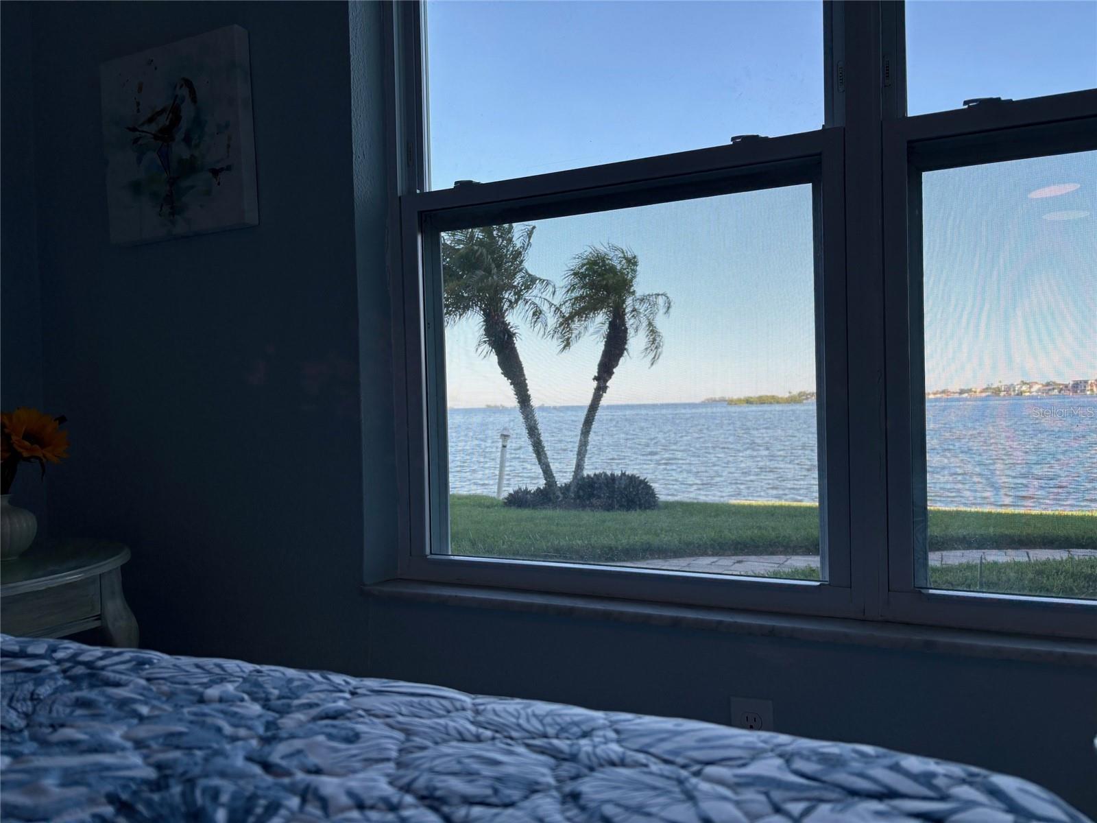 464 PAULA DRIVE N, #116, Dunedin, FL 34698
