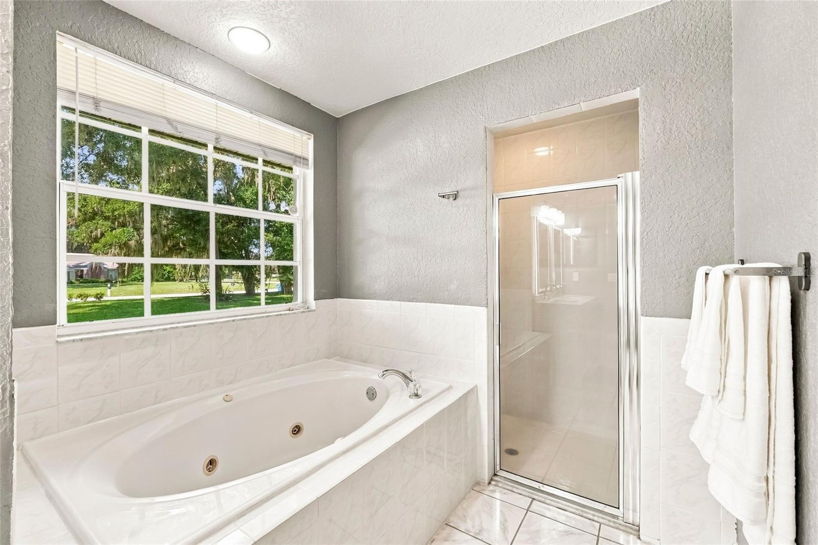 8416 SOUTHWOOD OAKS STREET, Lithia, FL 33547