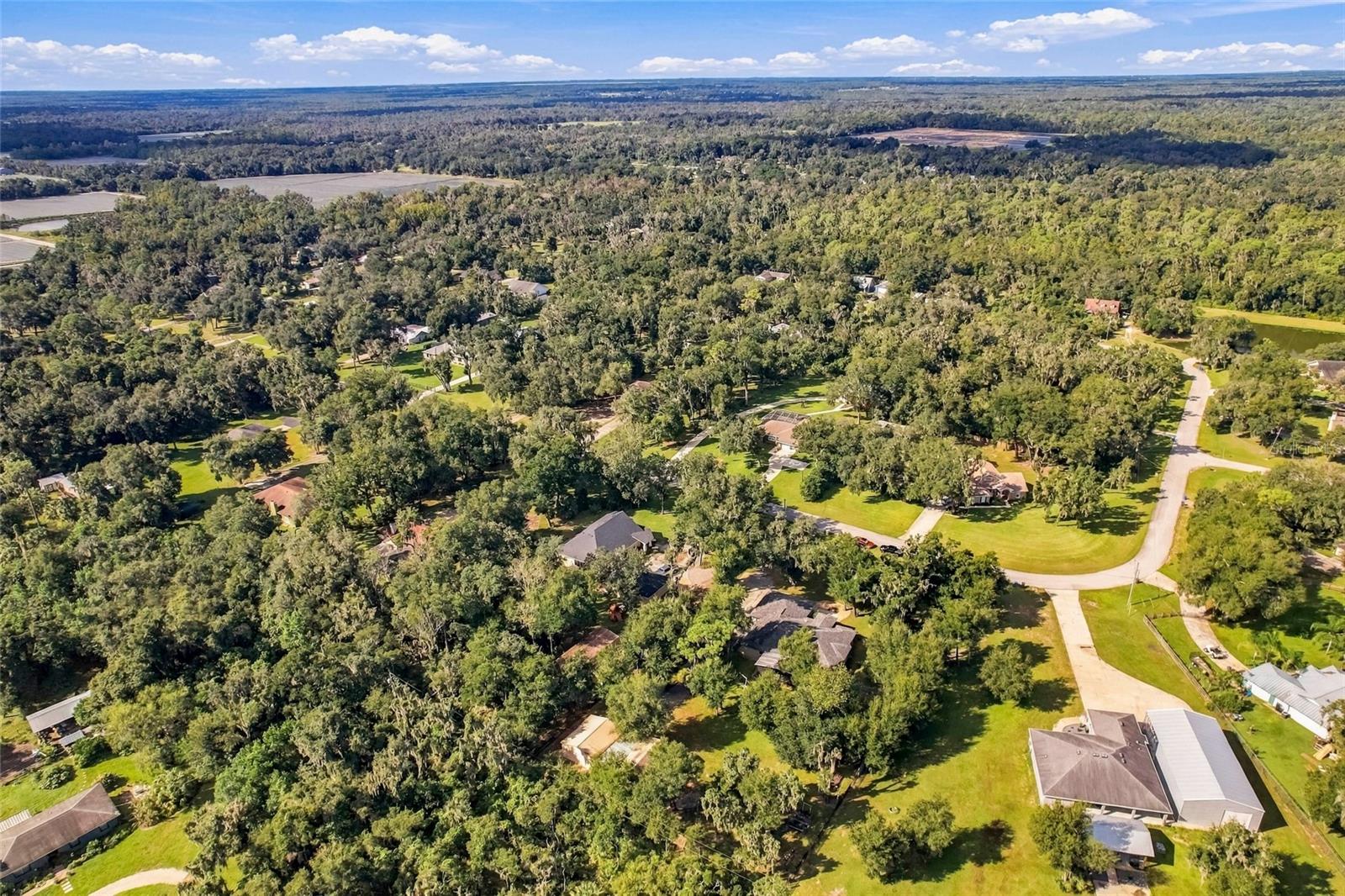 8416 SOUTHWOOD OAKS STREET, Lithia, FL 33547