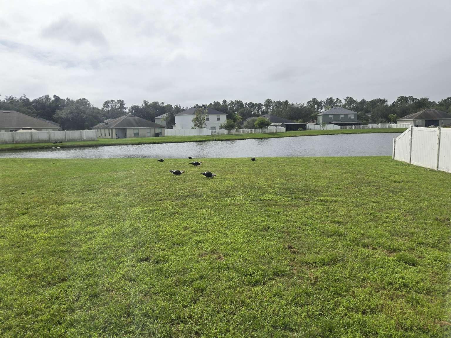 2462 HARRISON PLACE BOULEVARD, Lakeland, FL 33810