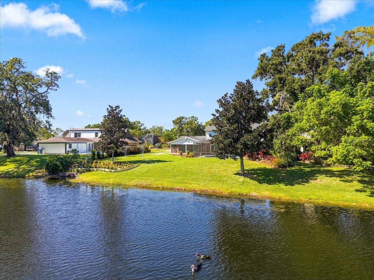 4110 CARROLLWOOD VILLAGE DRIVE, Tampa, FL 33618