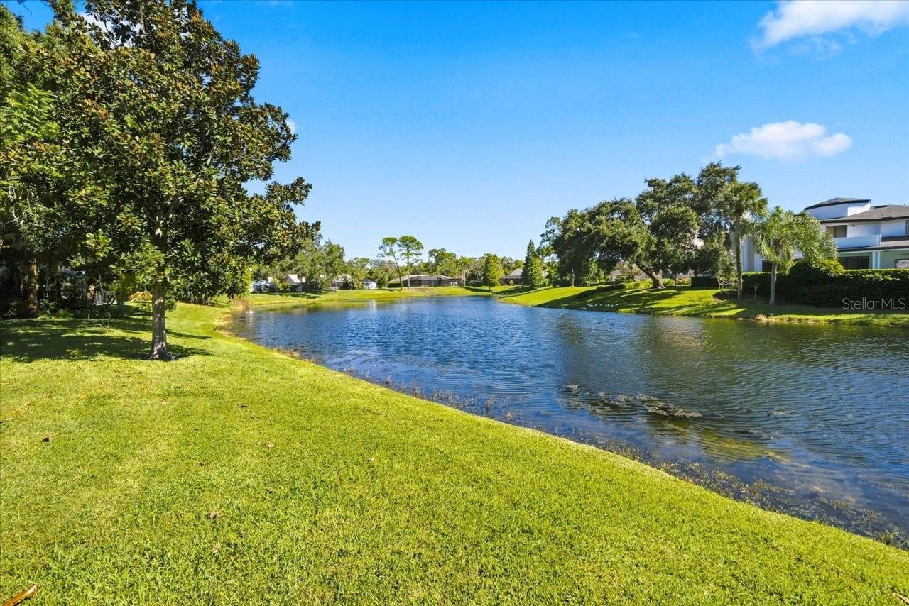 4110 CARROLLWOOD VILLAGE DRIVE, Tampa, FL 33618 4110 CARROLLWOOD VILLAGE DRIVE, Tampa, FL 33618