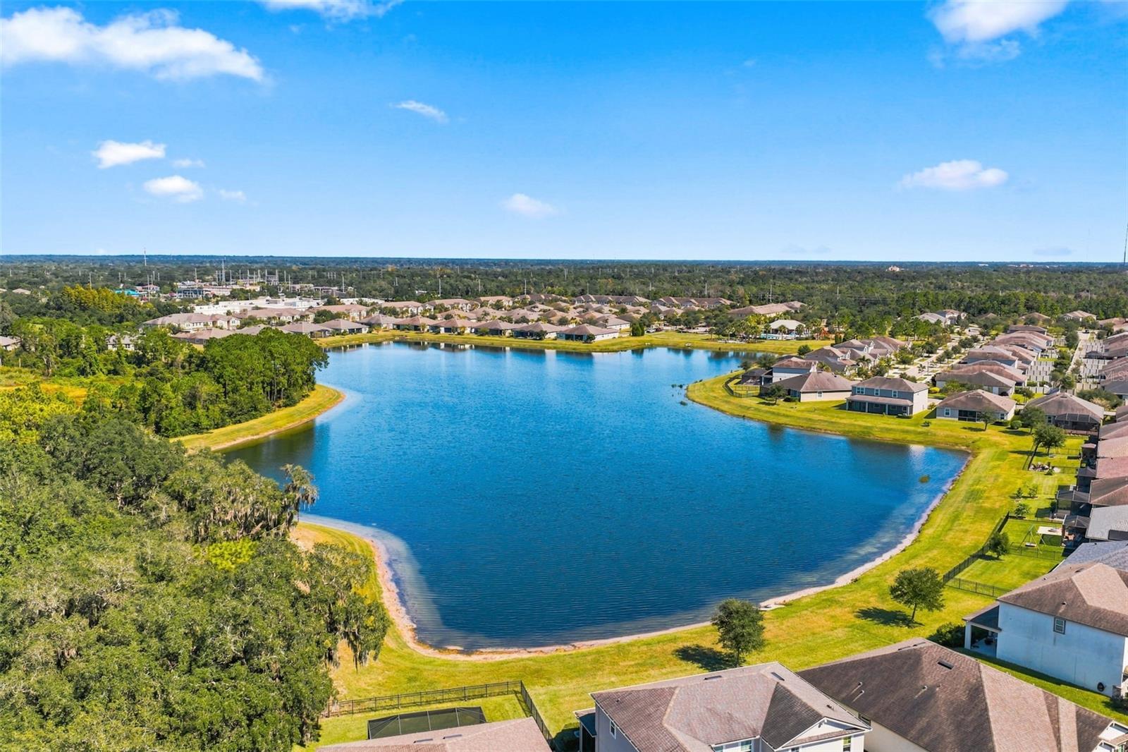 11417 BLUE WOODS DRIVE, Riverview, FL 33569