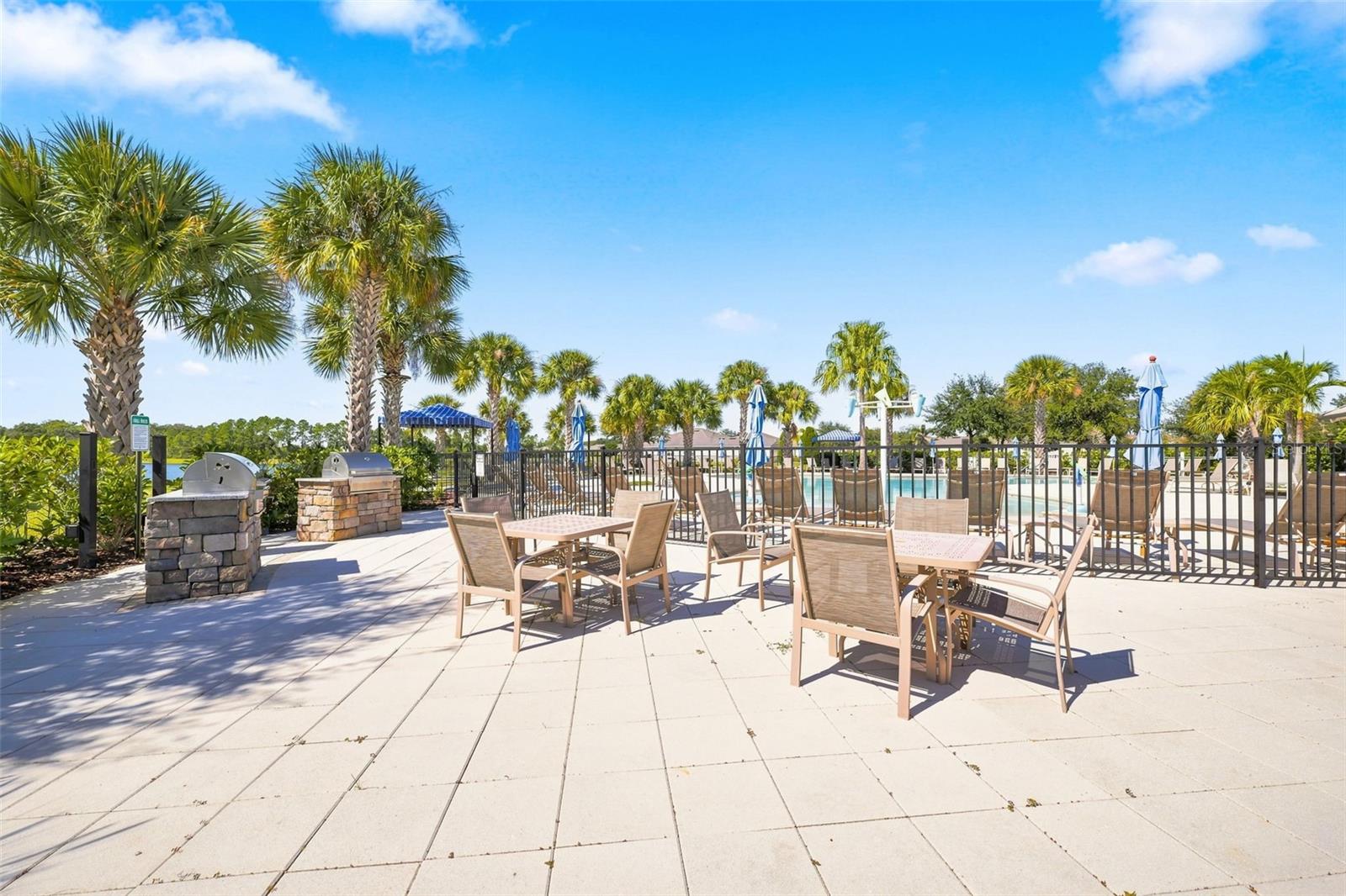 11417 BLUE WOODS DRIVE, Riverview, FL 33569