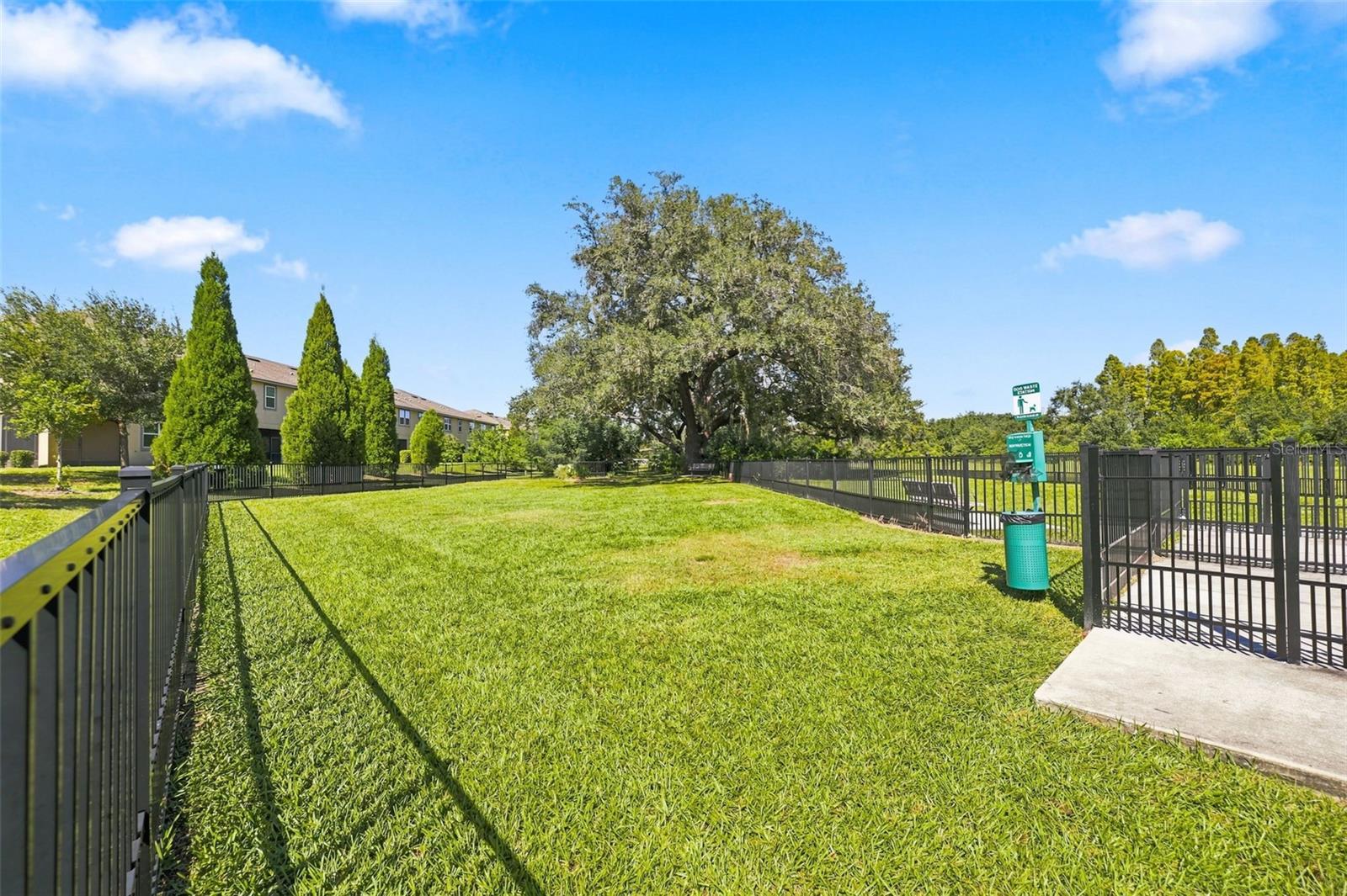 11417 BLUE WOODS DRIVE, Riverview, FL 33569
