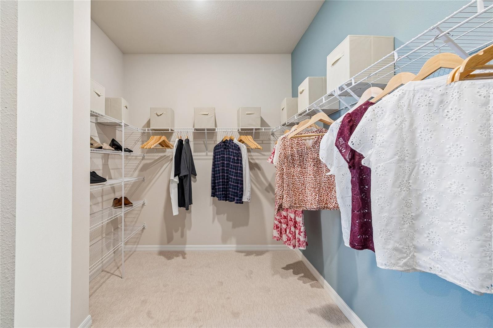 Owner's Closet