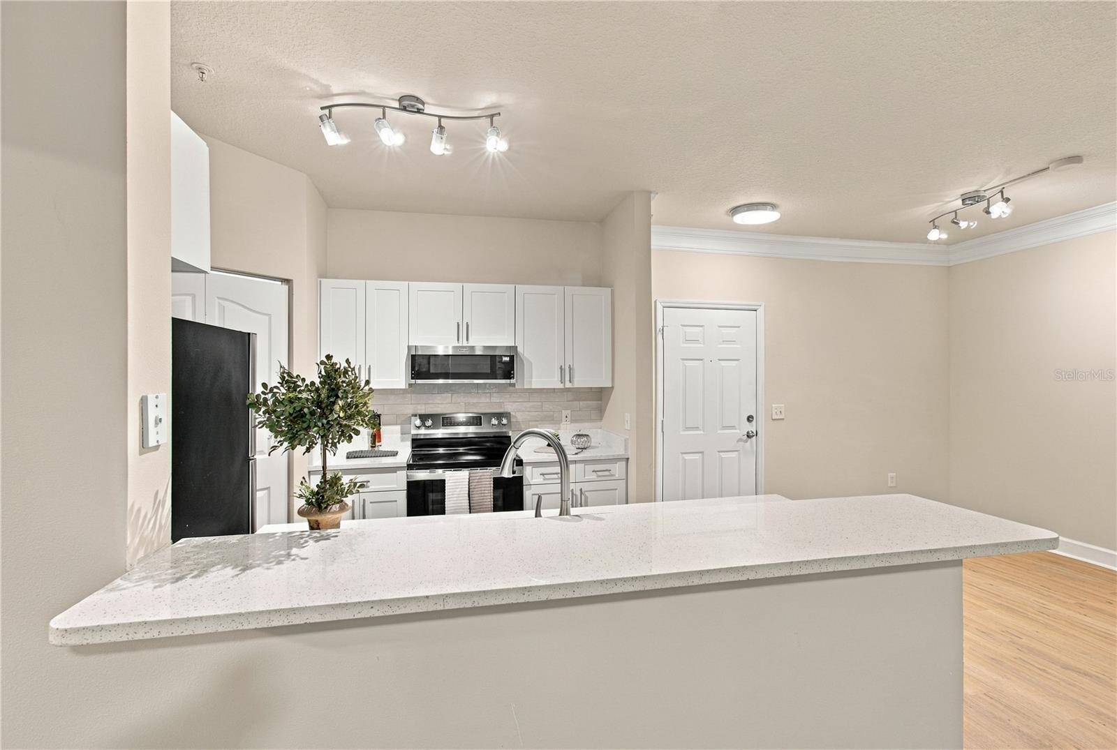 4207 S DALE MABRY HIGHWAY, #2113, Tampa, FL 33611