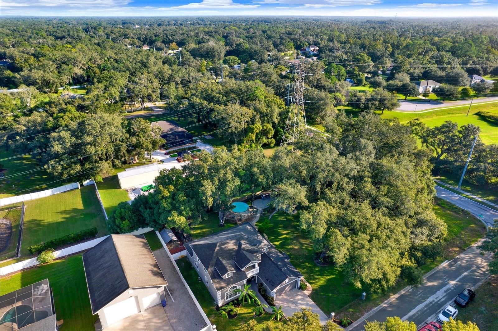2416 BURLWOOD DRIVE, Lutz, FL 33549