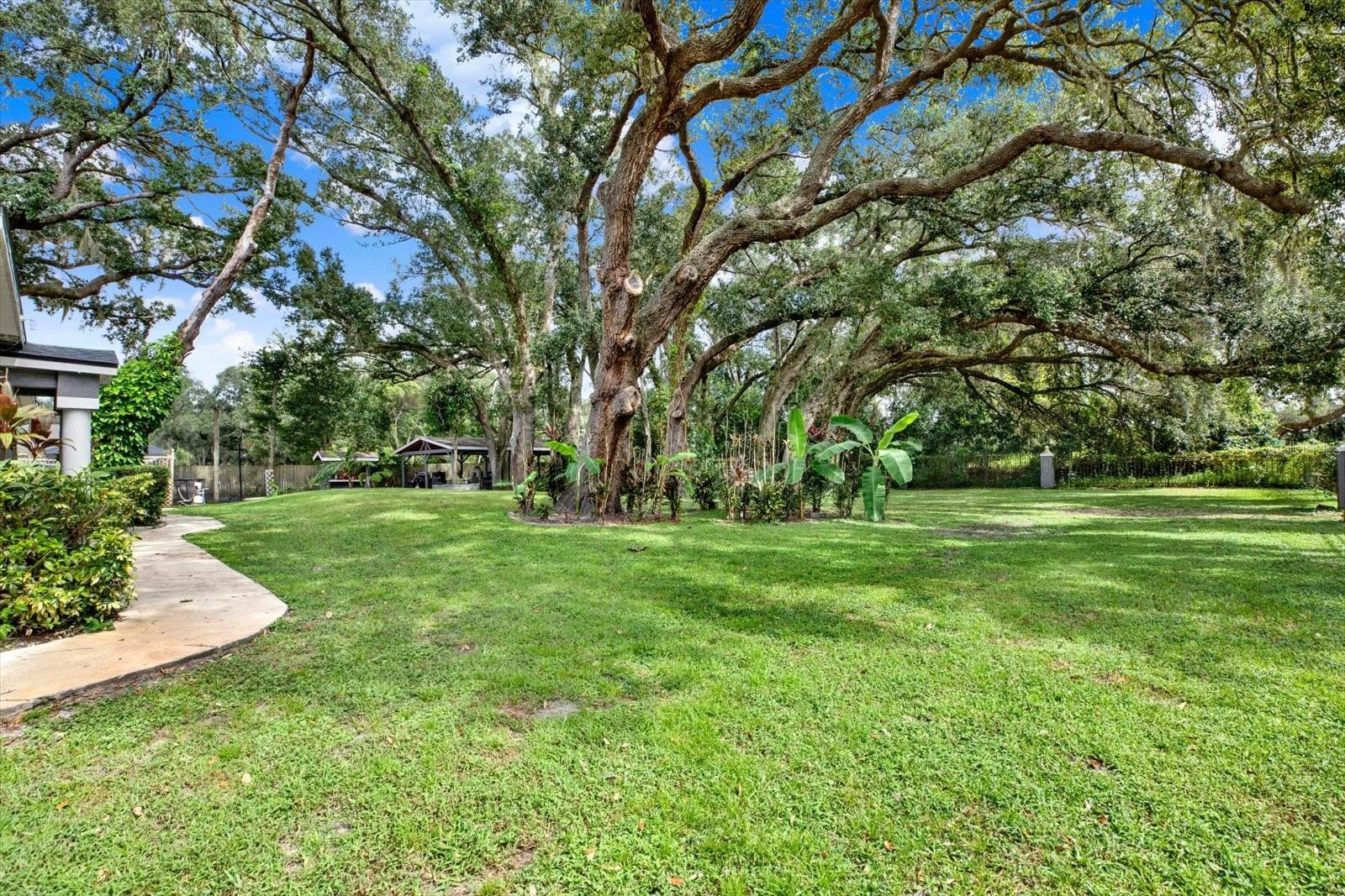 2416 BURLWOOD DRIVE, Lutz, FL 33549 2416 BURLWOOD DRIVE, Lutz, FL 33549