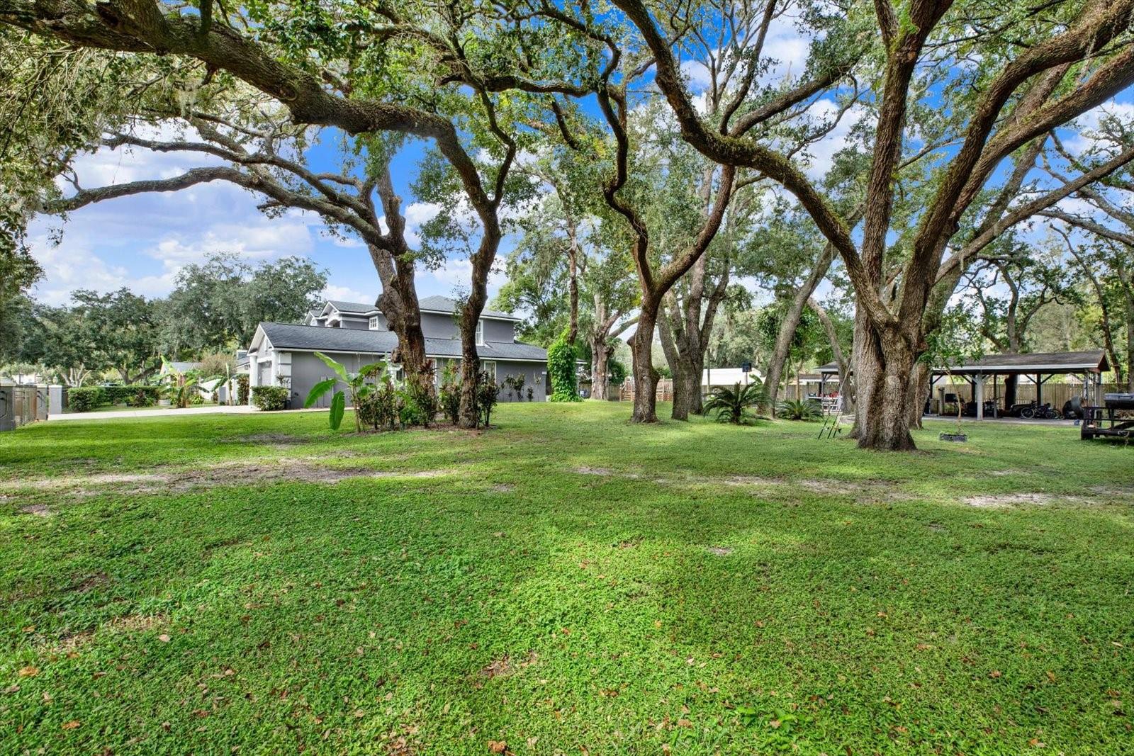 2416 BURLWOOD DRIVE, Lutz, FL 33549