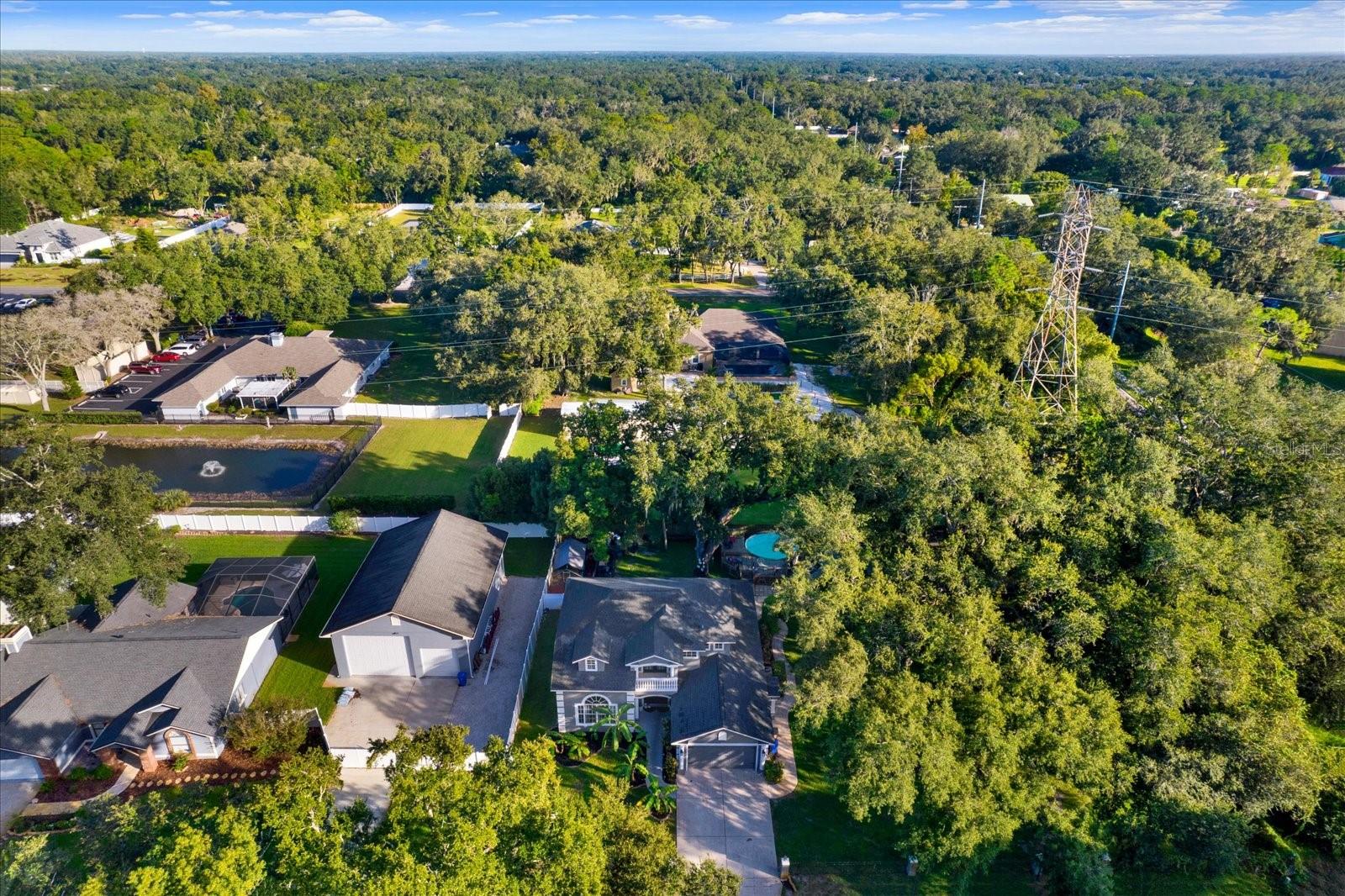 2416 BURLWOOD DRIVE, Lutz, FL 33549