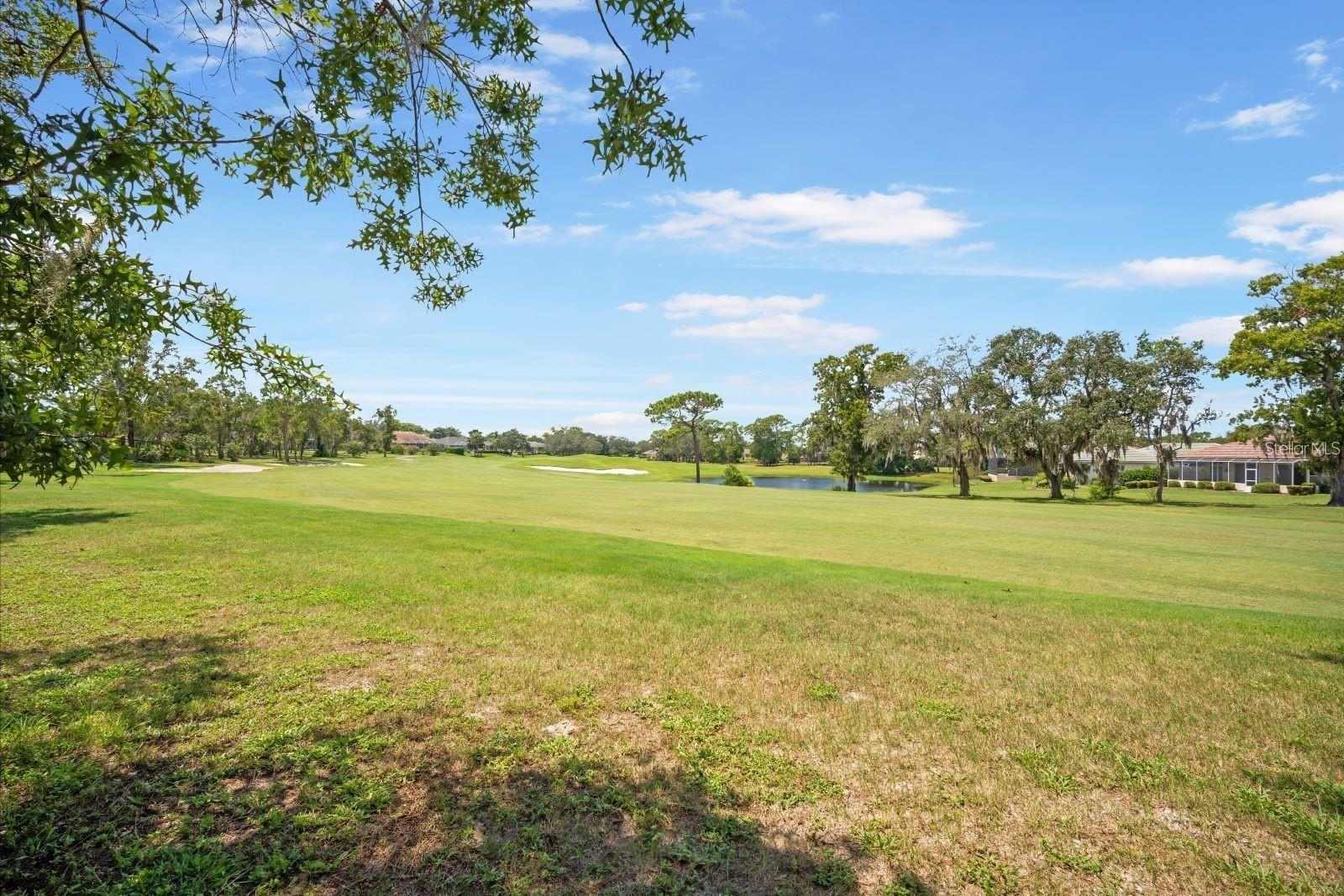 9093 PLAYERS, Weeki Wachee, FL 34613