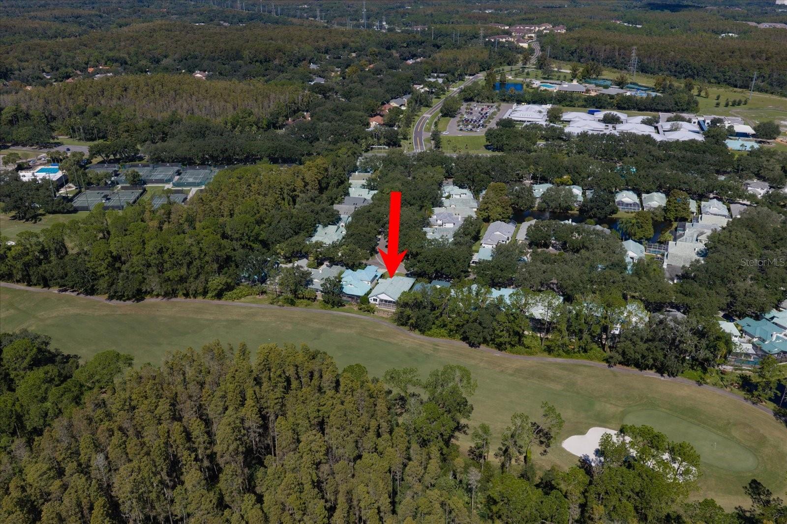 15872 SANCTUARY DRIVE, Tampa, FL 33647