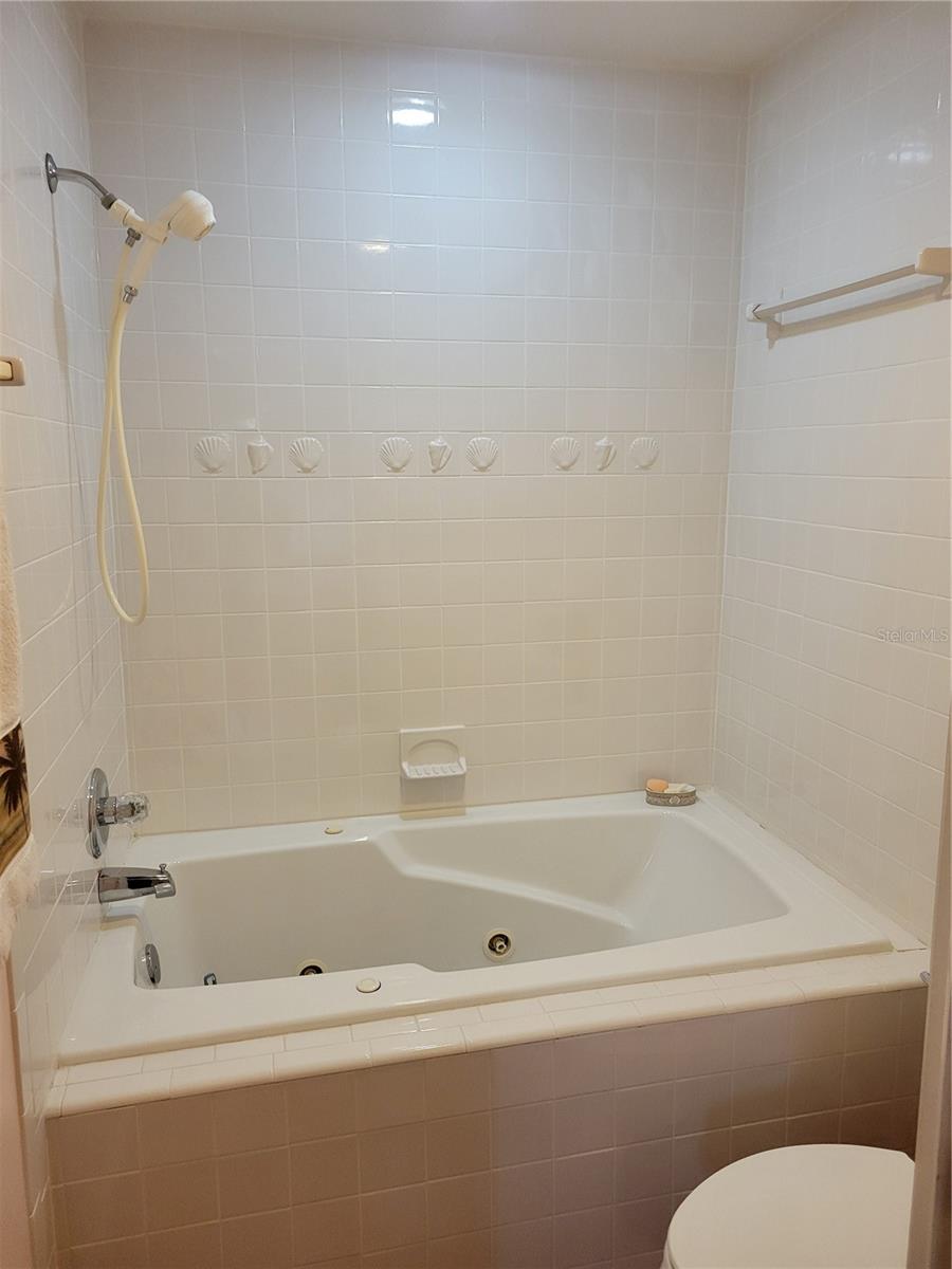 primary bath with jacuzzi tub