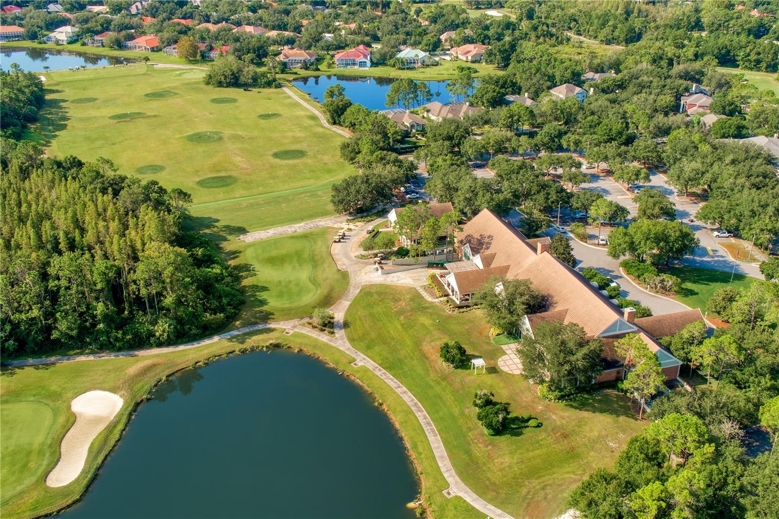 17725 NATHANS DRIVE, Tampa, FL 33647