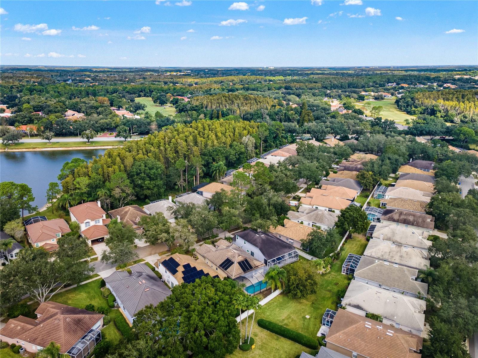 17725 NATHANS DRIVE, Tampa, FL 33647