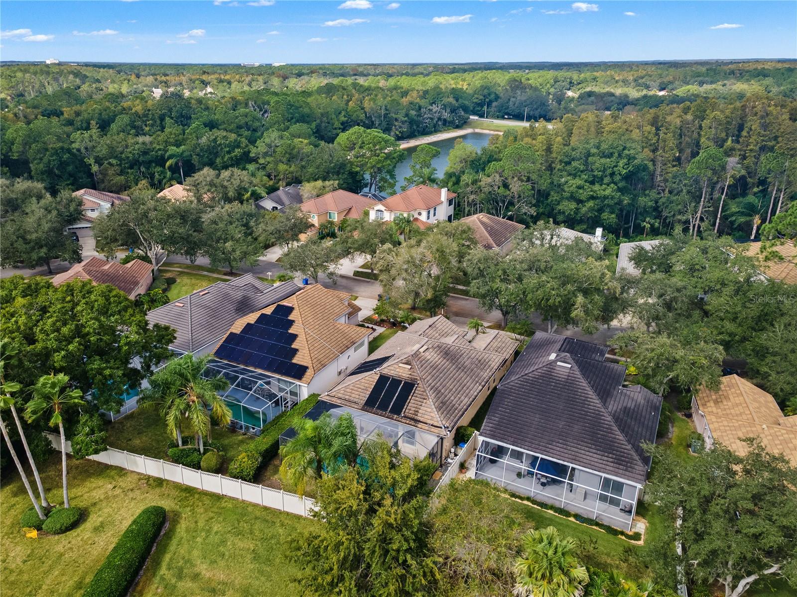 17725 NATHANS DRIVE, Tampa, FL 33647