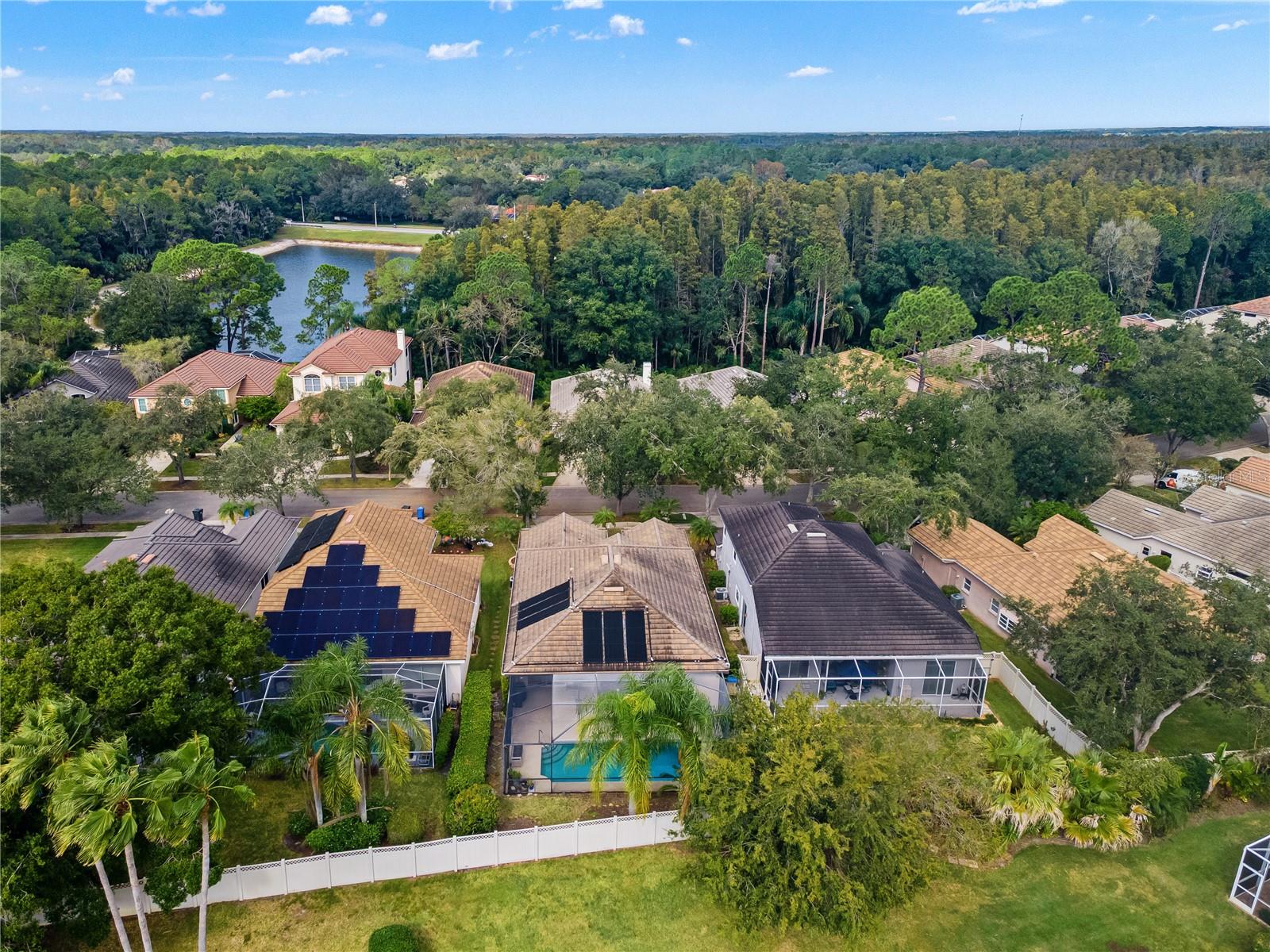 17725 NATHANS DRIVE, Tampa, FL 33647