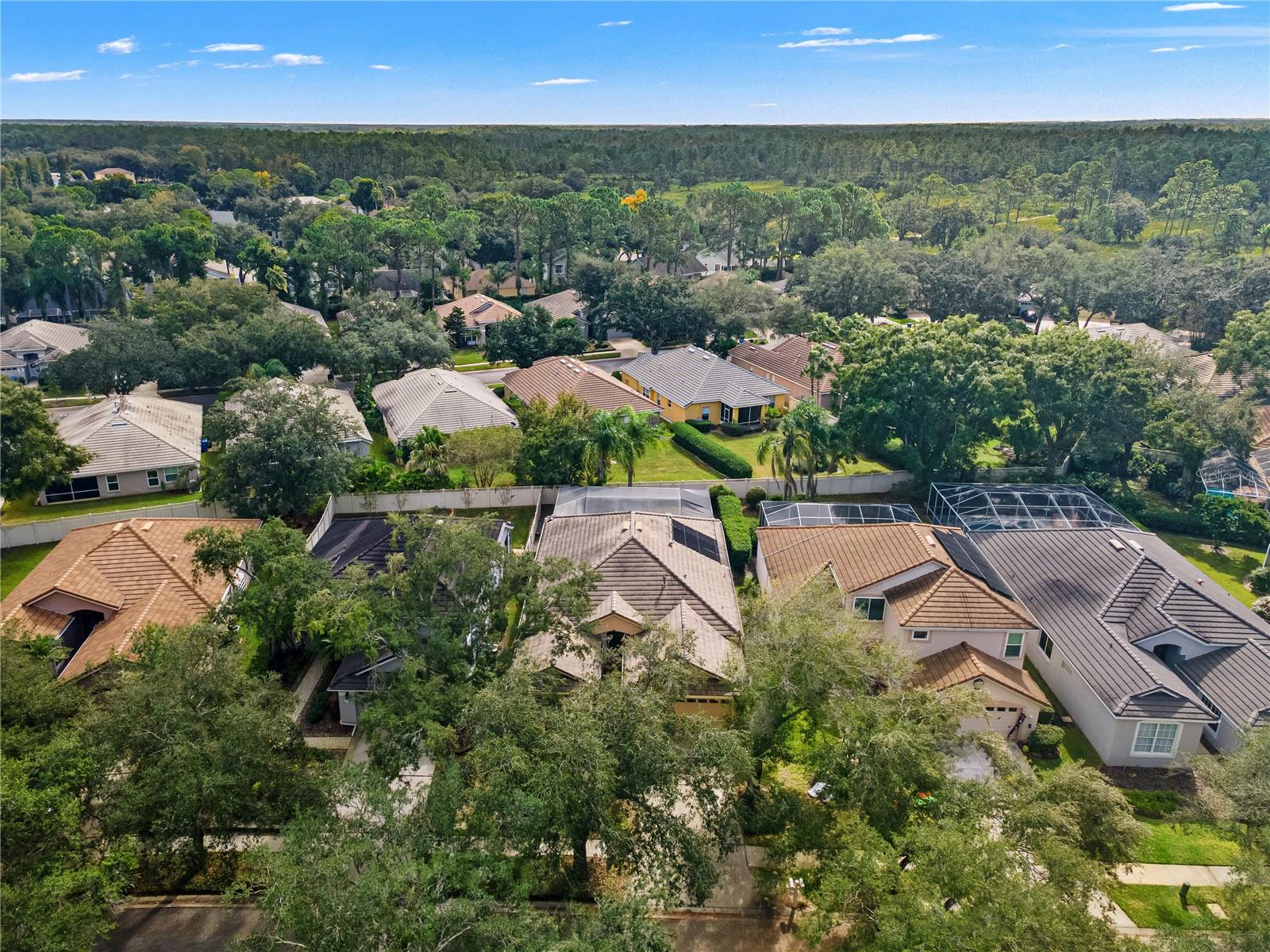 17725 NATHANS DRIVE, Tampa, FL 33647