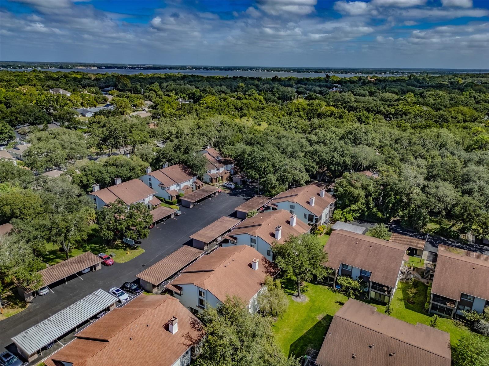 616 FAIRMONT AVENUE, #D, Safety Harbor, FL 34695
