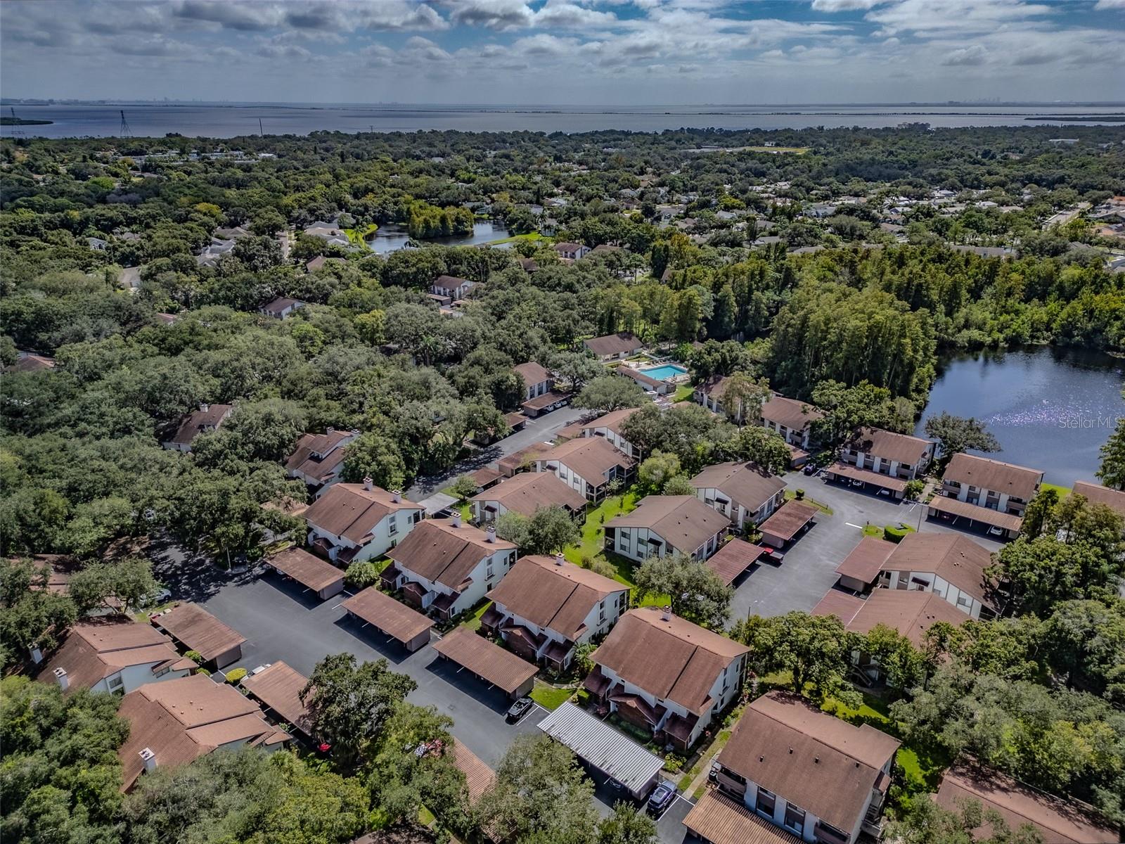 616 FAIRMONT AVENUE, #D, Safety Harbor, FL 34695