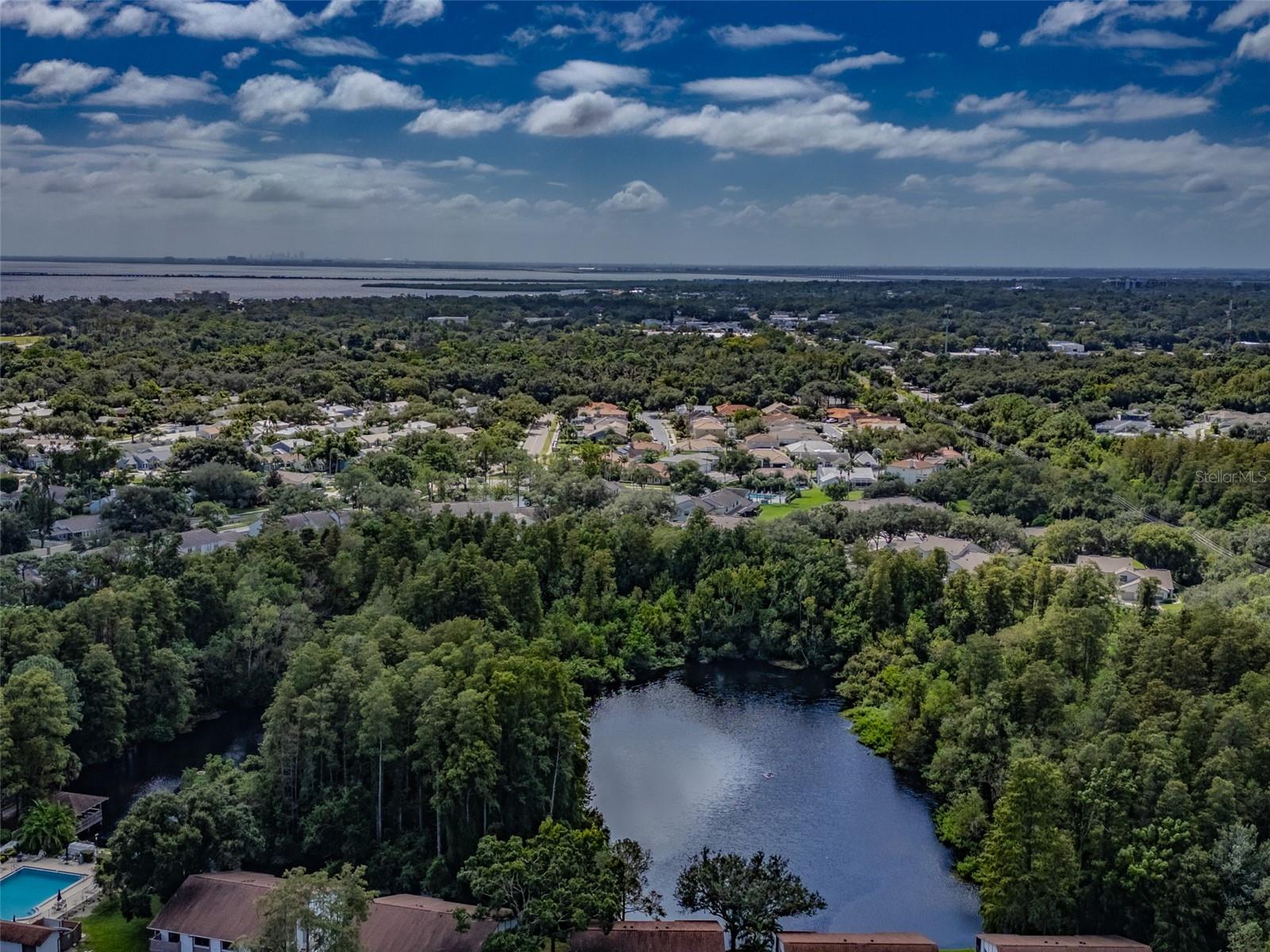 616 FAIRMONT AVENUE, #D, Safety Harbor, FL 34695