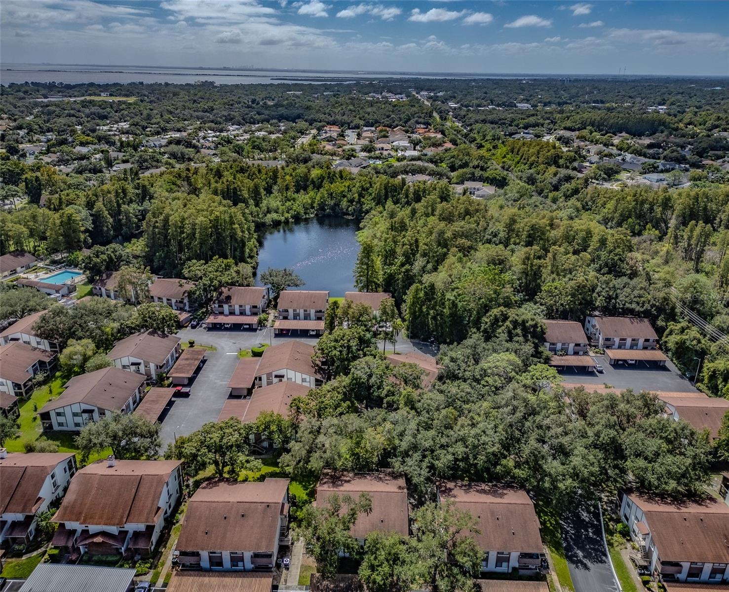 616 FAIRMONT AVENUE, #D, Safety Harbor, FL 34695