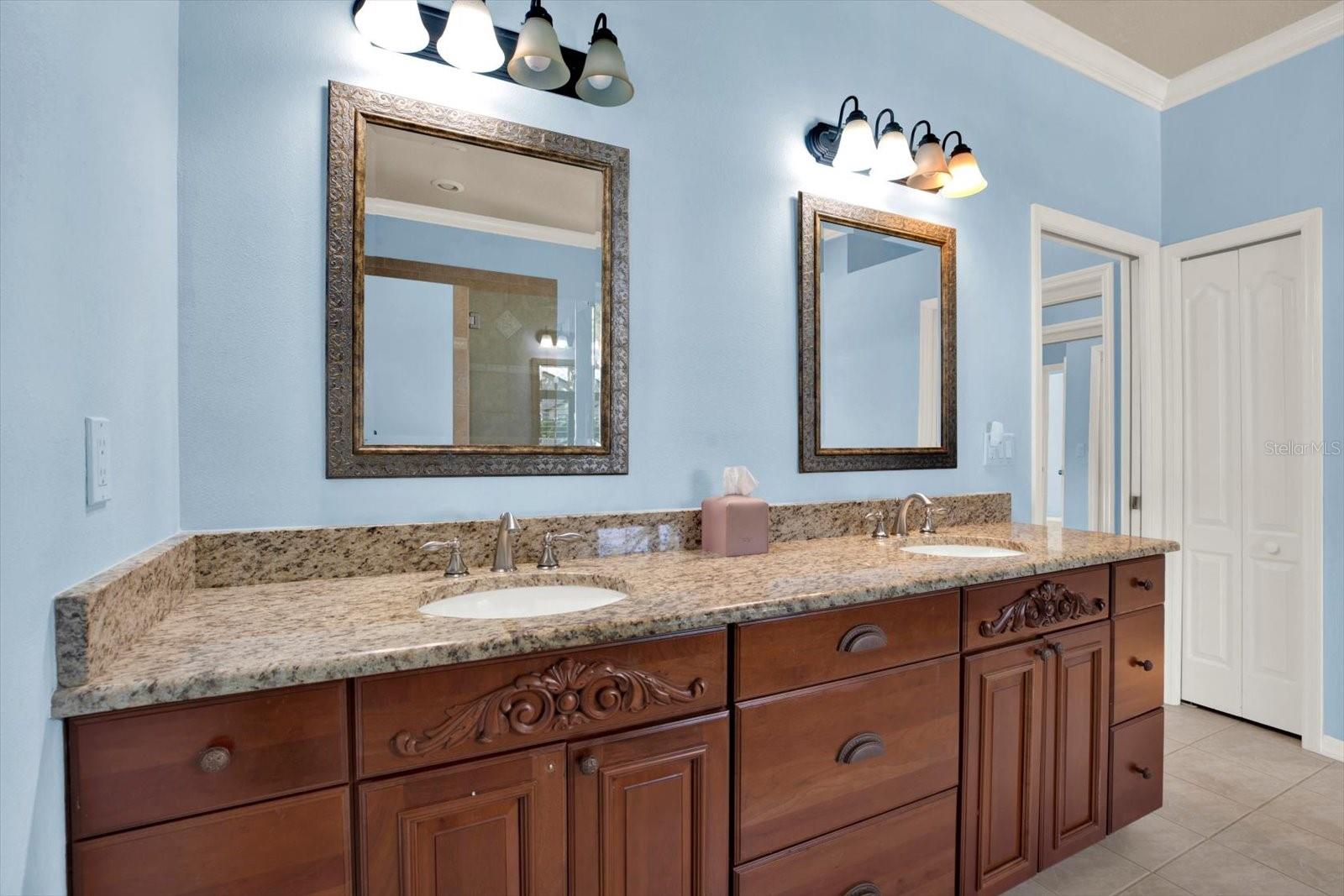 507 SURREY LANE, Lutz, FL 33549