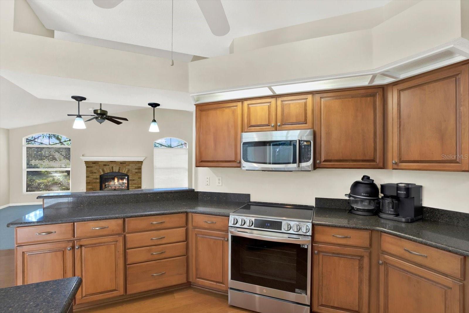 507 SURREY LANE, Lutz, FL 33549