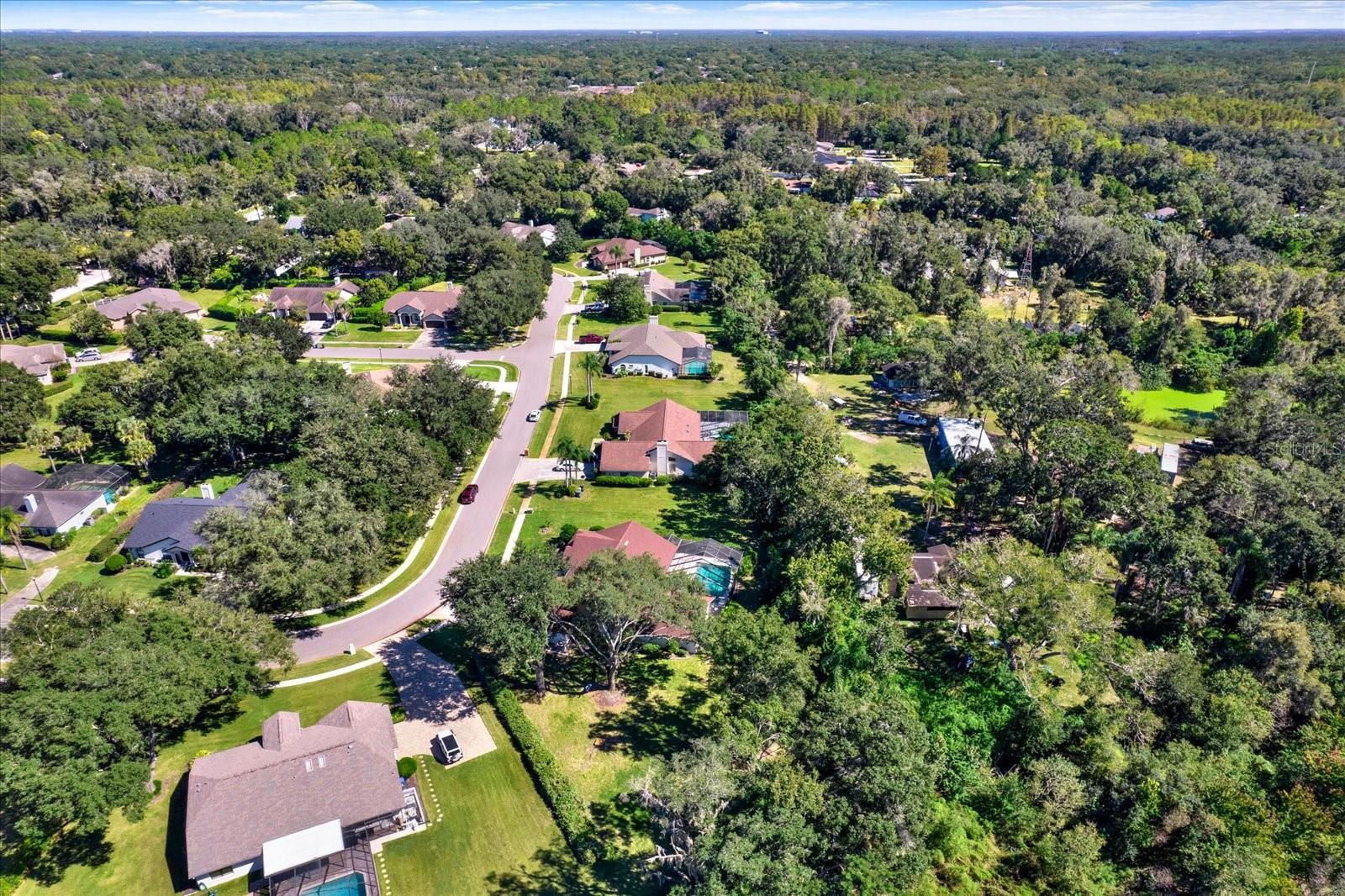 507 SURREY LANE, Lutz, FL 33549