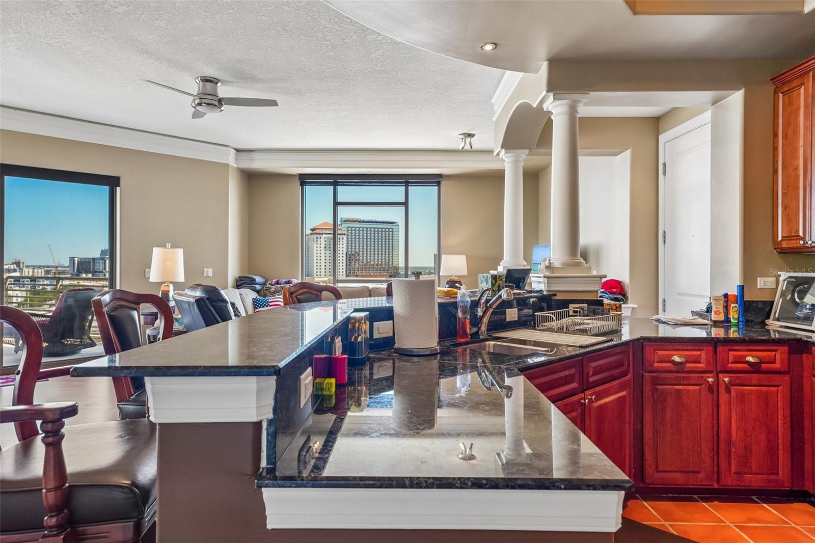 275 BAYSHORE BOULEVARD, #1204, Tampa, FL 33606