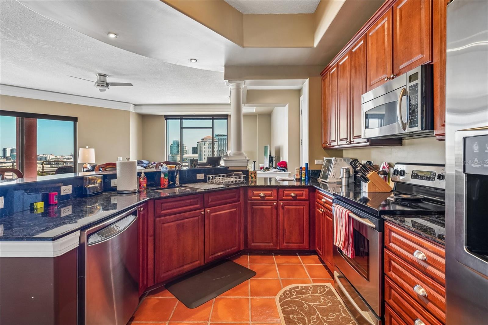 275 BAYSHORE BOULEVARD, #1204, Tampa, FL 33606
