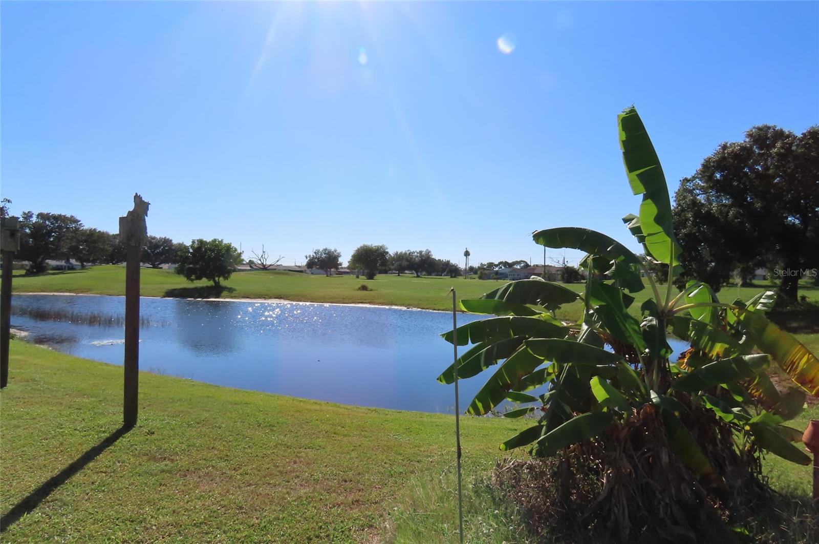 910 EL RANCHO DRIVE, Sun City Center, FL 33573