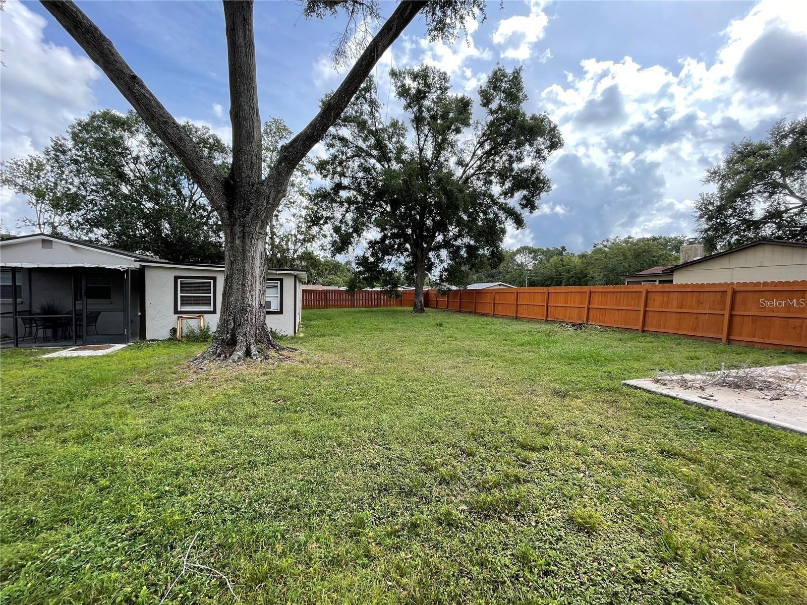 Tampa, FL 33625