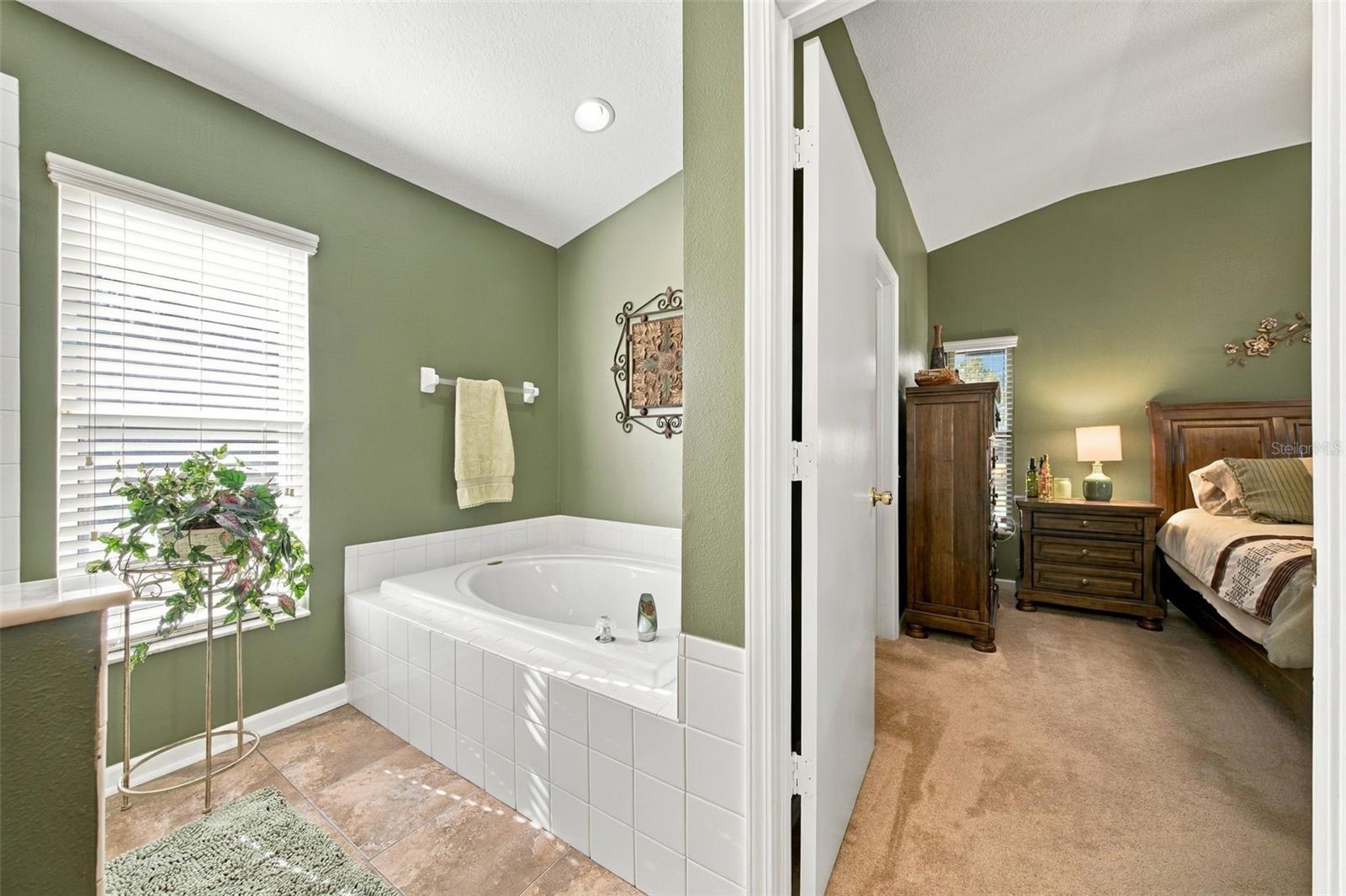 5936 WAR ADMIRAL DRIVE, Wesley Chapel, FL 33544