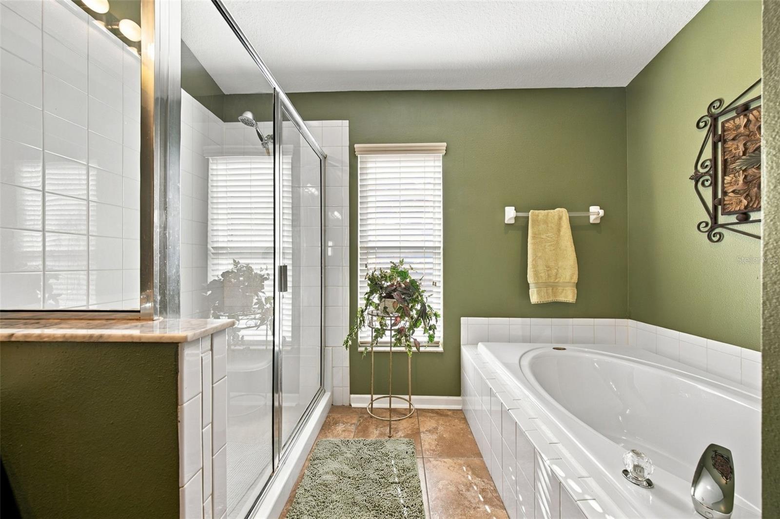 5936 WAR ADMIRAL DRIVE, Wesley Chapel, FL 33544