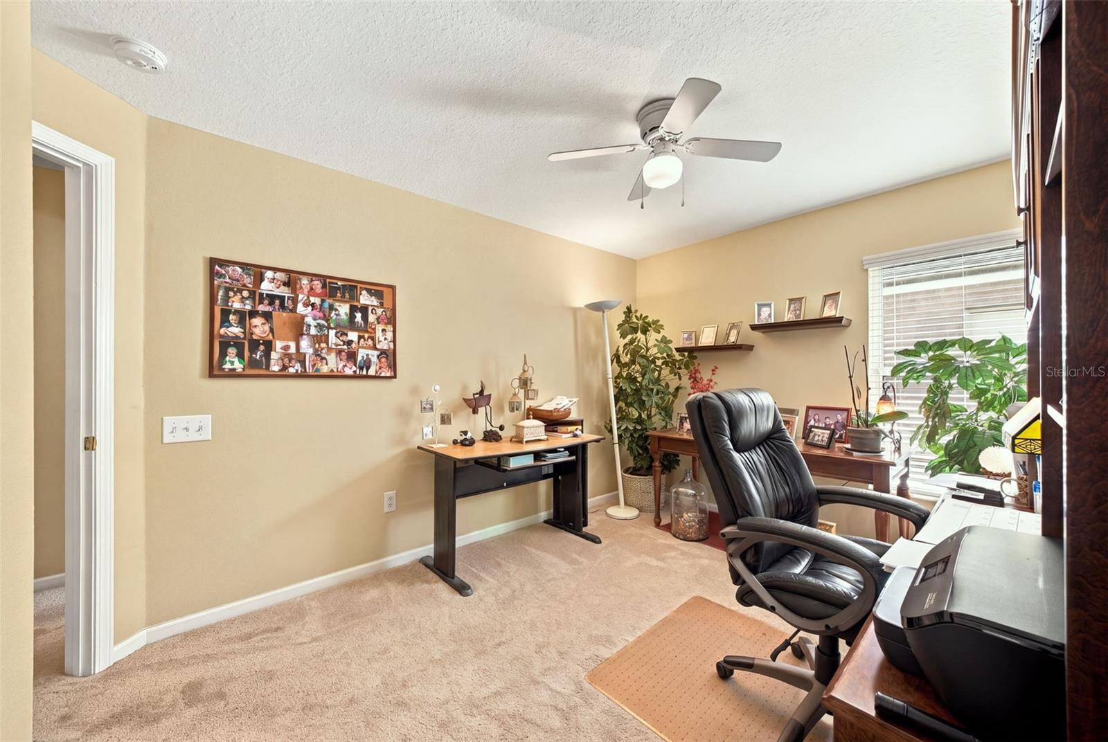 5936 WAR ADMIRAL DRIVE, Wesley Chapel, FL 33544