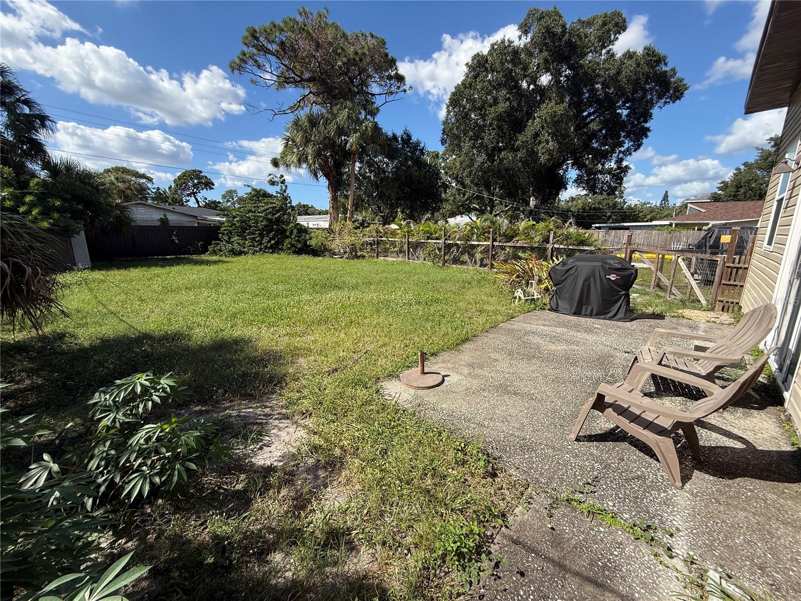 Backyard