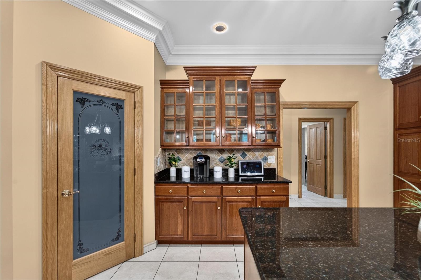 1009 EMERALD CREEK DRIVE, Valrico, FL 33596