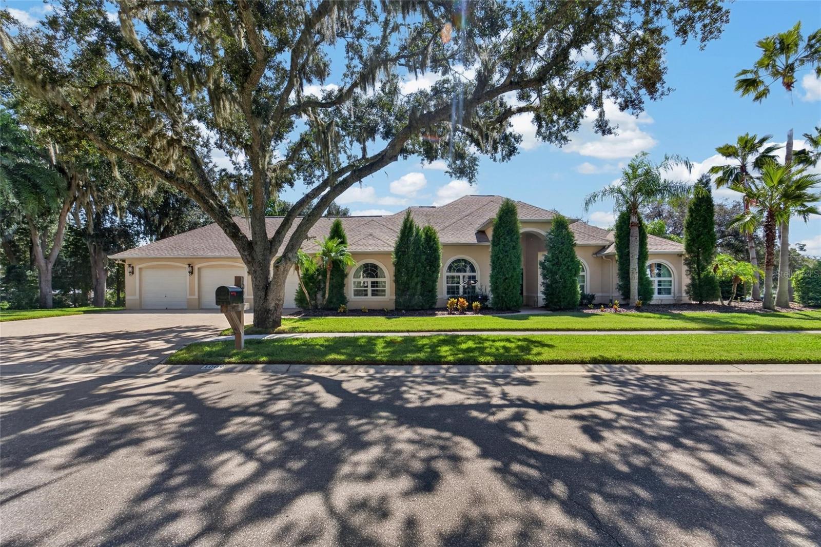 1009 EMERALD CREEK DRIVE, Valrico, FL 33596