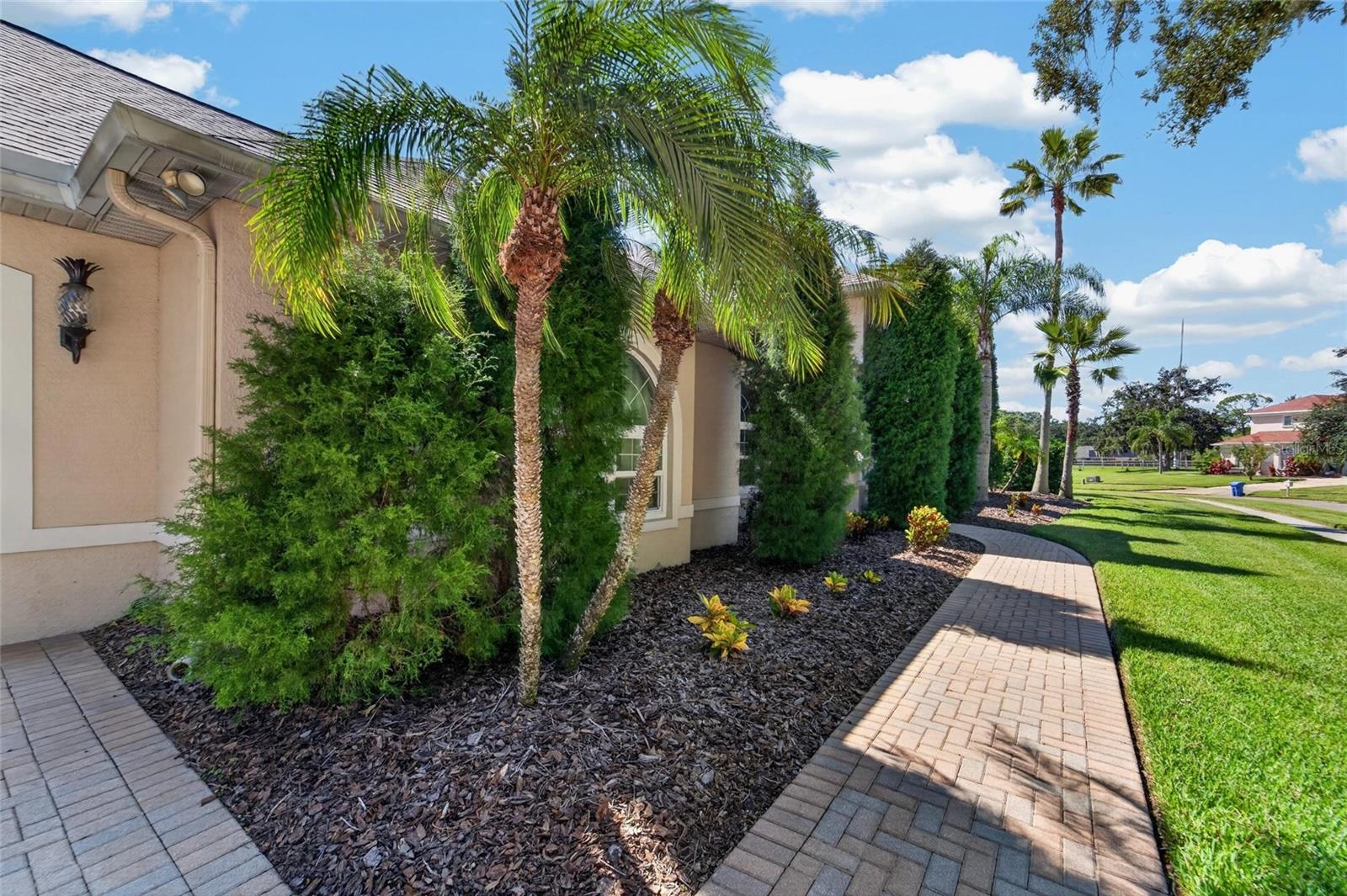 1009 EMERALD CREEK DRIVE, Valrico, FL 33596