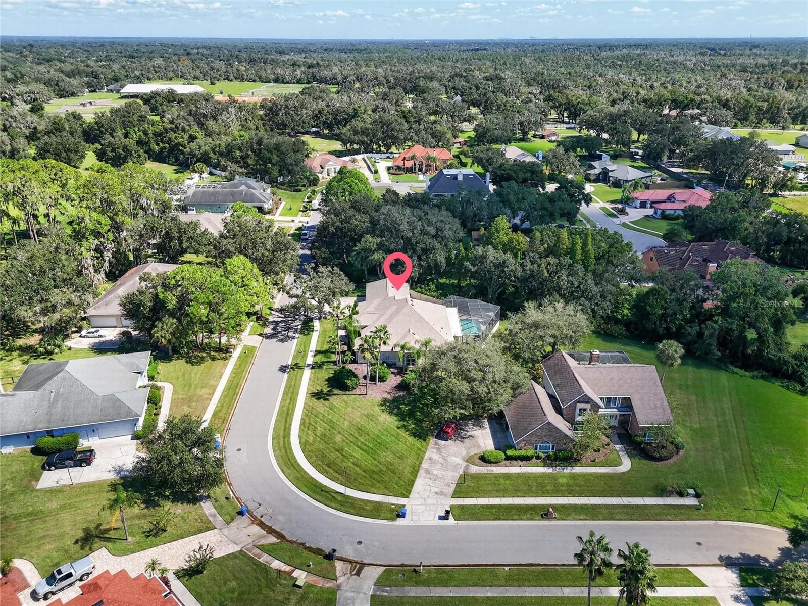 1009 EMERALD CREEK DRIVE, Valrico, FL 33596